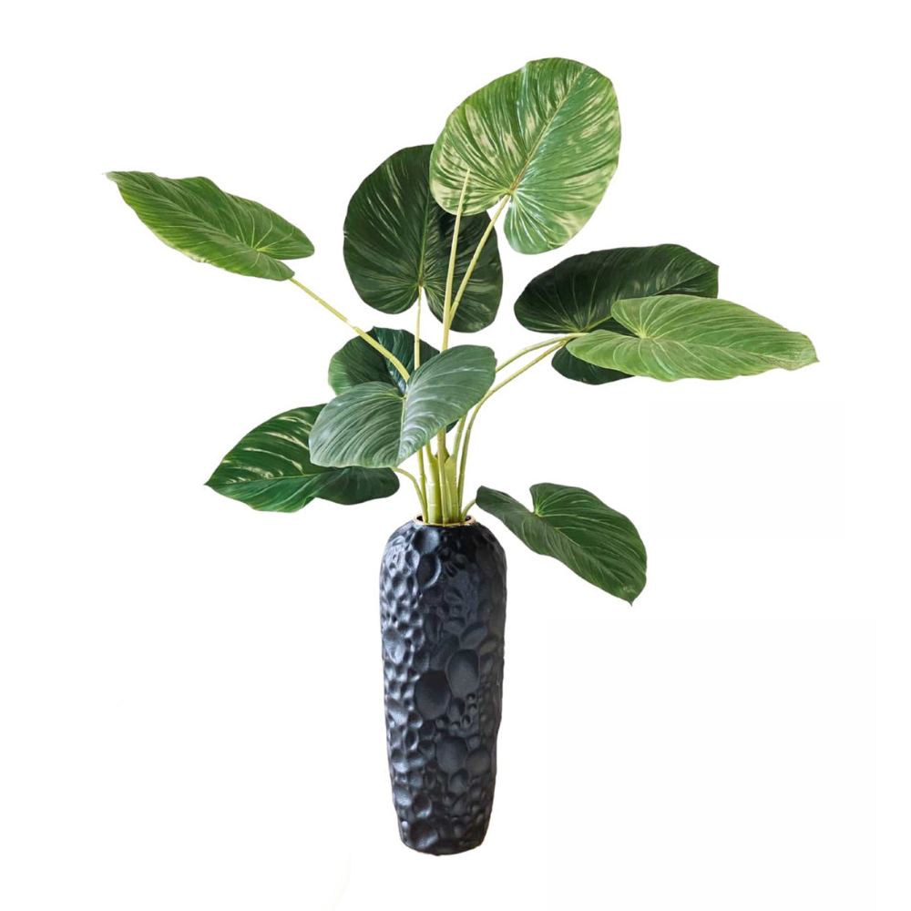 PLANTA DECORATIVA TROPICAL